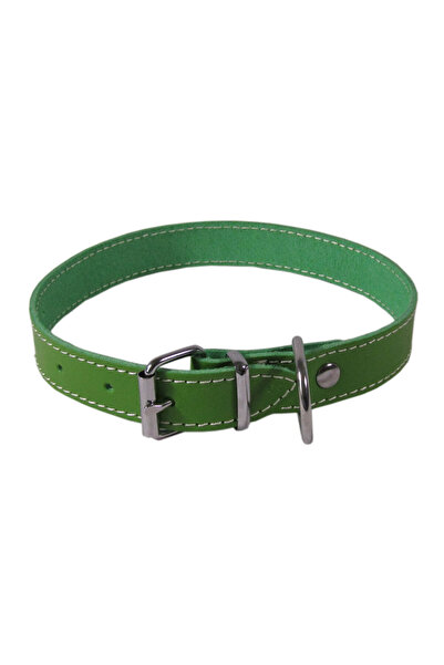 Exo Collar L3 2.5/53 cm - Simple Green