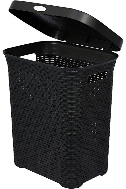 NEONI سلة غسيل سعة 50 لترًا مع غطاء - مساحة تخزين واسعة وأنيقة للملابس والألع...