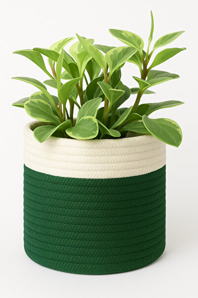 MaVaux Dekoratif Jüt Saplı Hasır Sepet Saksı 20cm X 20 Cm, Jüt Bej Saksılık, ...