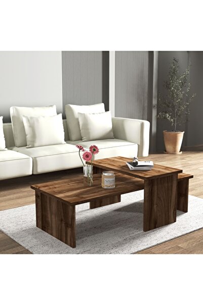 Cool Home Vera 2'li Orta Sehpa , Servis Sehpası Sandık (Ceviz)