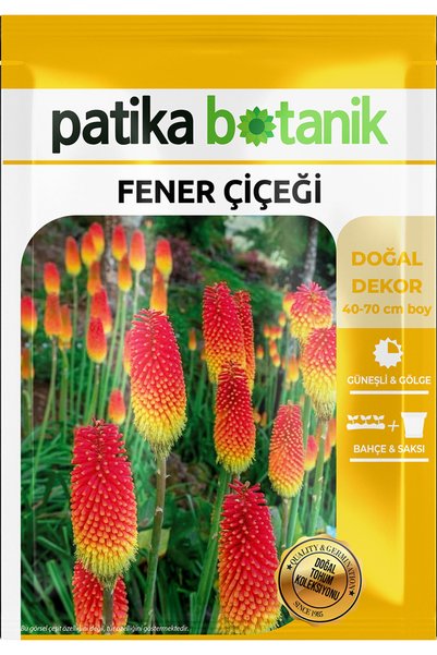 Patika Botanik 50 Adet Fener Çiçeği Tohumu (Kniphoöa)