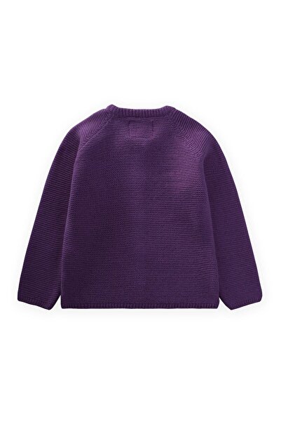 Cigit Links Knitwear Cardigan 1-8 Years Purple