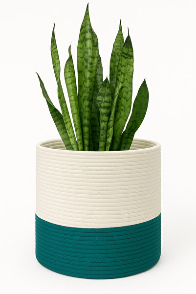 MaVaux Dekoratif Jüt Saplı Hasır Sepet Saksı 20cm X 20 Cm, Jüt Bej Saksılık, ...