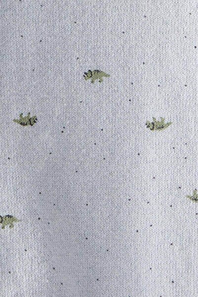 Carter's Baby Boy Blue Set of 2