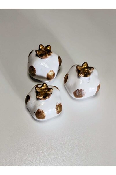 EVCİDİZAYN NAR TERARYUM MALZEMESİ