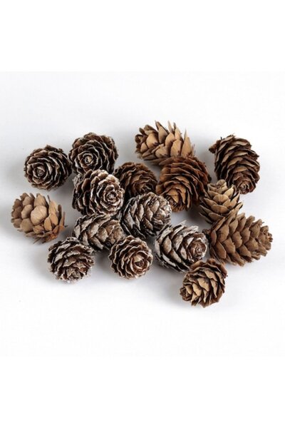 OEM decorative pine cones, set 100g, snow effect, 2 cm, green/white