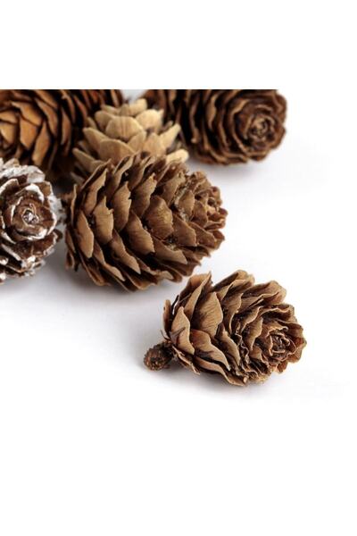 OEM decorative pine cones, set 100g, snow effect, 2 cm, green/white