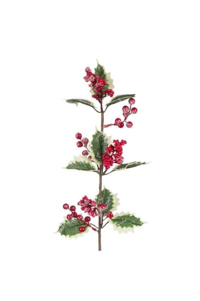 OEM Creangă de vâsc de Crăciun, 65 cm