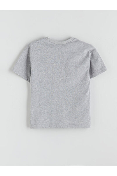 LC Waikiki Gray Crew Neck Boys' T-Shirt and Shorts