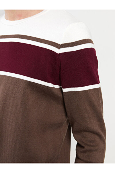 LC Waikiki Brown Crew Neck Long Sleeve Color Block Men's Knitwear Sweater