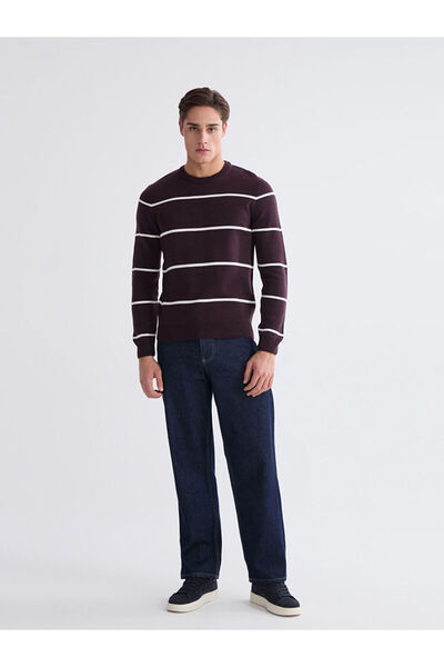 LC Waikiki Create Your Style from Uzg Store | Crew Neck Long Sleeve Striped Men's Knitwear Sweater