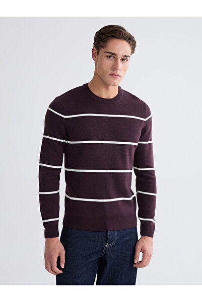 LC Waikiki Create Your Style from Uzg Store | Crew Neck Long Sleeve Striped Men's Knitwear Sweater