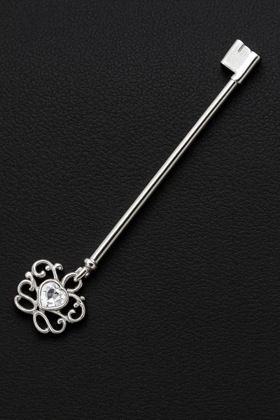 ömay takı Anahtar Çelik Köprü Piercing