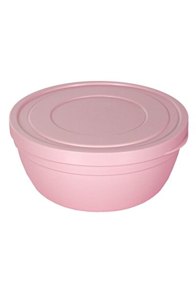 OEM Pink food container, 500 ml