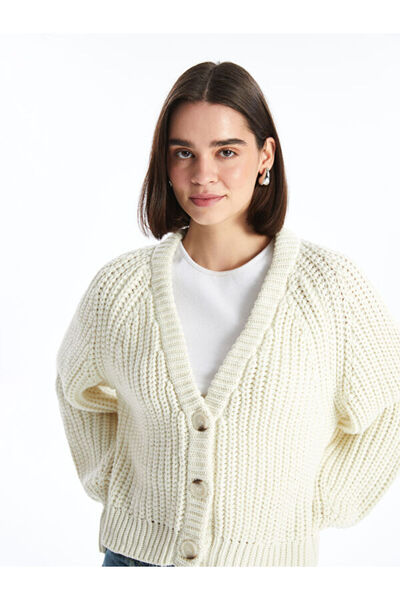 LC Waikiki Crew Neck Self Patterned Women's Knitwear Cardigan