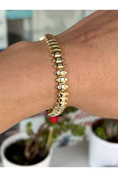 shesra Çivi Model 14K Renk Kaplama Çelik Bileklik