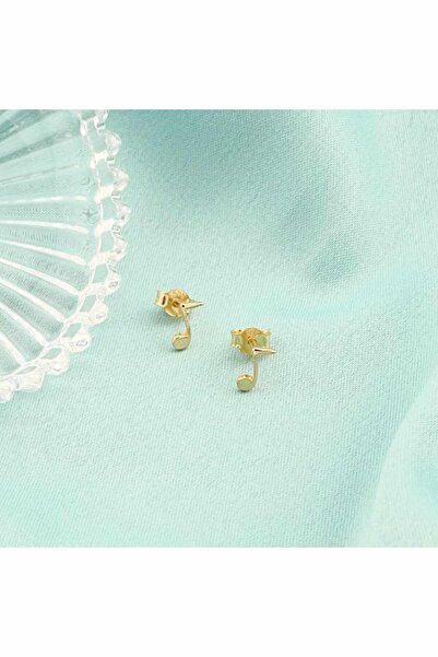 Bijuteria SORELLY 14k Gold Music Note Earrings