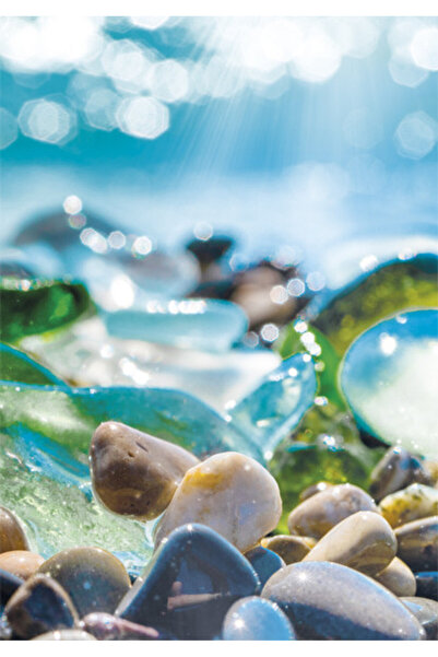 Colorations Πολύχρωμο ελαστικό φάκελο από θαλασσινό γυαλί A/4 Nature