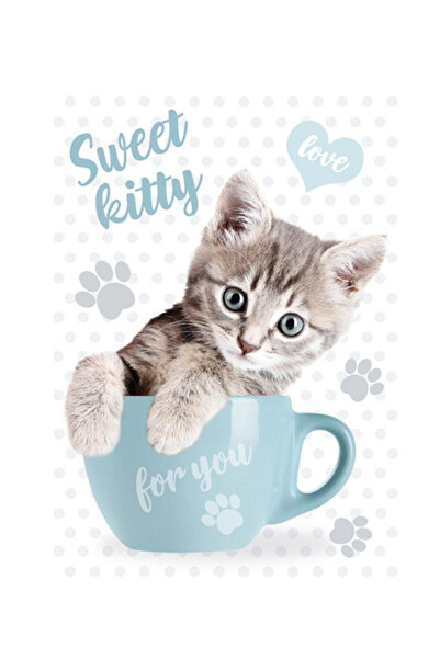 Animals Pisică Sweet Kitty Mapă elastică A4