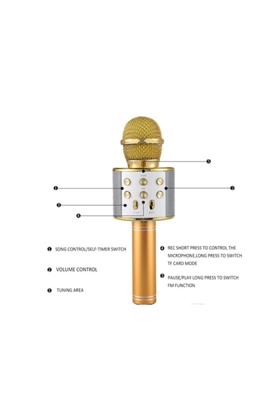 SmartElectro Wireless Bluetooth Karaoke Microphone, 5 W, TF/USB/AUX, ECHO Effect, Gold, Portable