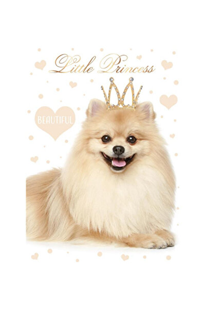 Animals Câine Little Princess Mapă elastică A4