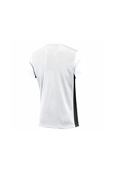 Nike Men's Sports T-Shirt m Nk Df Chalng V Jsy Ss Men's T-Shirt Men's Jersey