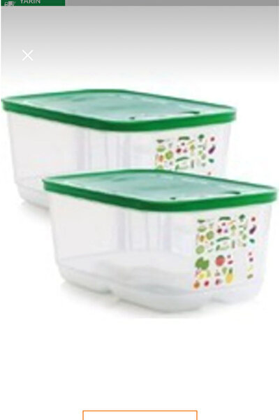 Tupperware Sera 4.4 2 Pieces