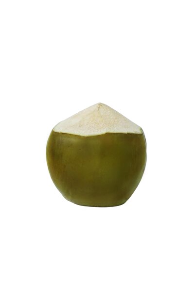 Antalya Doğal Çiftlik Taze Hindistan Cevizi 2 Adet