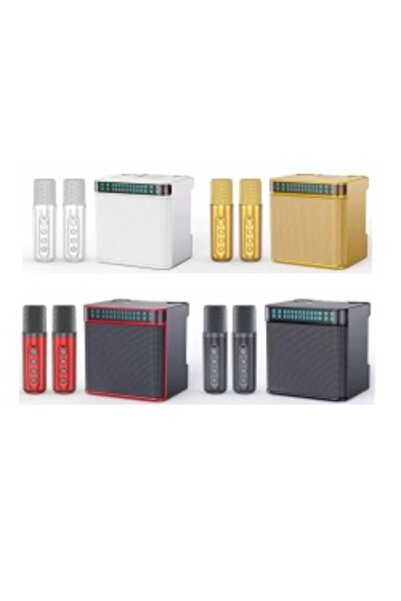 BSG TECH OEM HL 223 – Wireless Karaoke Speaker with 2 UHF Microphones, HiFi, Portable, Black