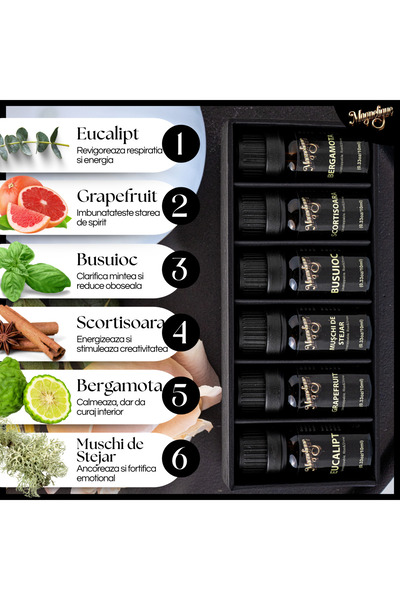 Magnetique Set of 6 Essential Oils, Power, Essence of energy and inner strength, 6x10ml