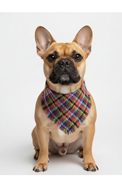Cocopet Köpek Bandana Fular Tüm Irklar İçin