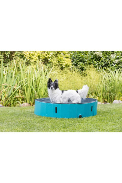 Trixie Piscină pentru câini, Plastic, 120x30 cm, Petrol/Gri, 39482