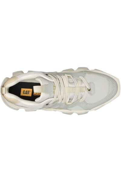 Caterpillar Imposter