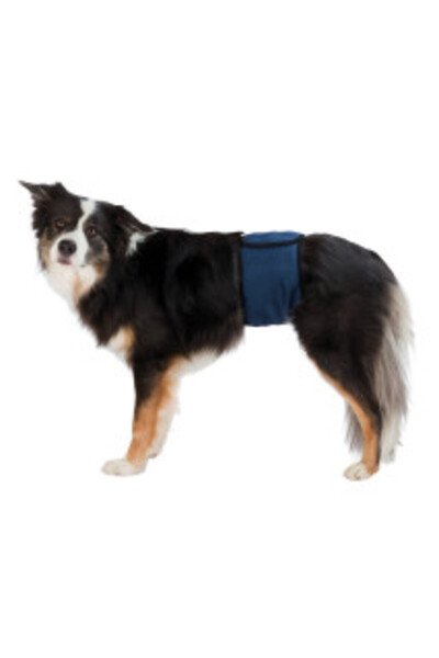 Trixie Incontinence Belt for Male Dogs, S (29-37 cm), Blue, 23661