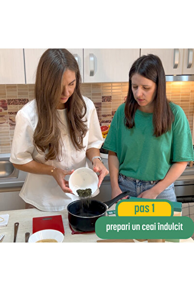 zenvita Mini set for making kombucha at home