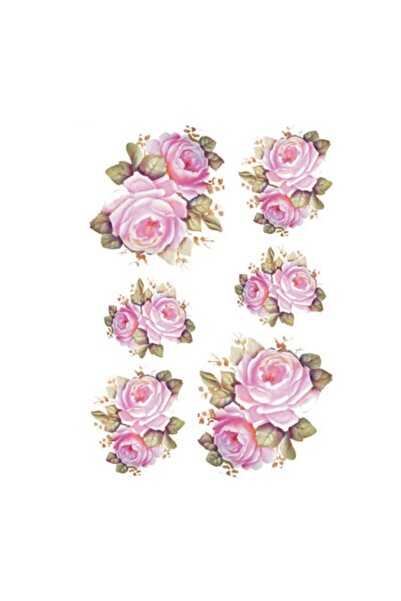 Rich KOLAY TRANSFER KÜÇÜK AÇIK ZEMİN 5518