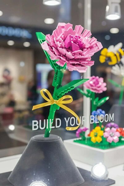 Miniso Çiçek Serisi Karanfil Oyun Bloğu