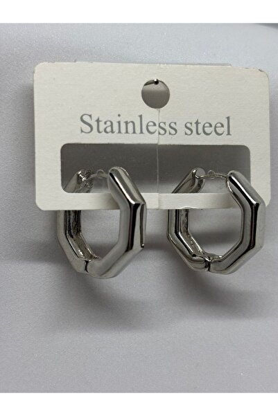 staınless steel Steel Earrings