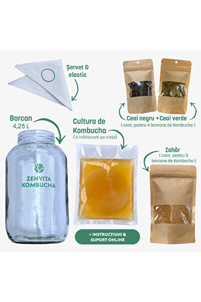 zenvita Home kombucha preparation kit