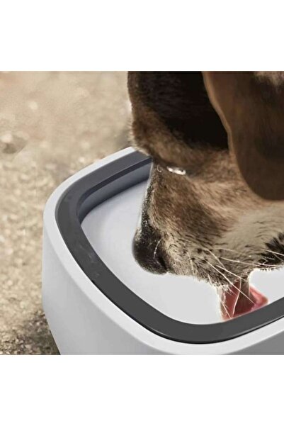 OEM Anti-splash Dog and Cat Water Bowl, 1.5 L, White