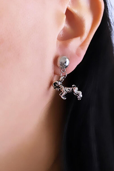 Liveyn Design Aries Horoscope Earrings