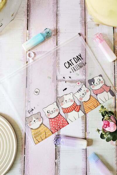 Miniso Kedi Desenli A4 Dosya