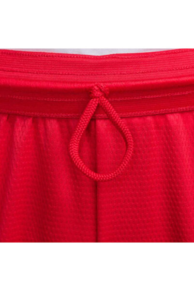 Nike M NK DF ICON 8IN SHORT DV9524-658