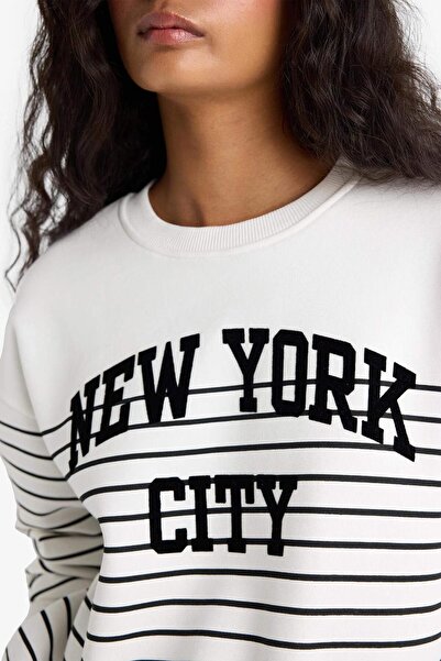 DeFacto Relax Fit Crew Neck Striped Printed Sweatshirt (25 Au)