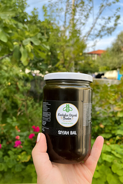 KAZDAĞLARI ORGANİK LEZZETLER Kazdağları Endemik Siyah Bal 850 gr