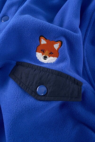 WWF Market Red Fox Polar Popover Sweatshirt - Cobalt Blue