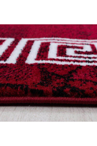 Talis Carpet Plus Red V2 80x150 cm