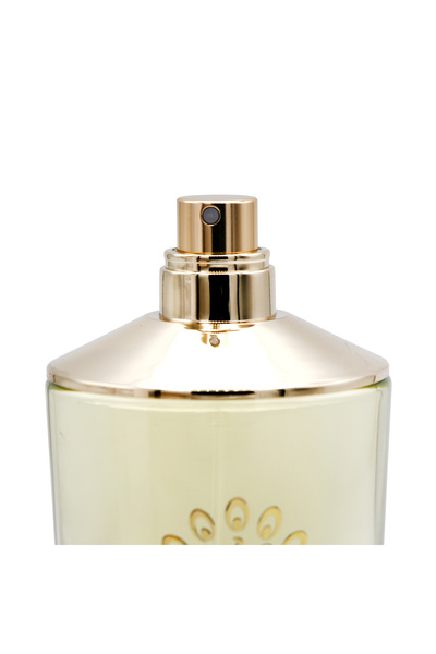 global fashion Global Fashion Eau de Parfum, 100 ml, Precious Gold