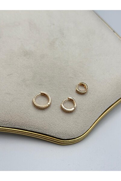 MyladyAccessoriess Zircon Stone Set Earrings (Steel)