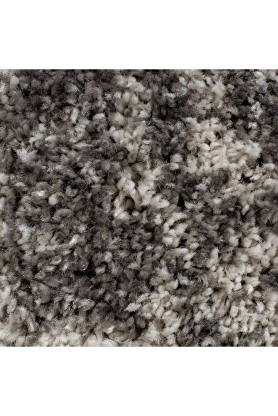 Talis Reza Ombre Grey Carpet 160x230 cm, Flair Rugs